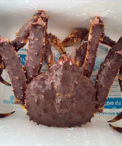 Cua Hoàng Đế - King Crab Sống