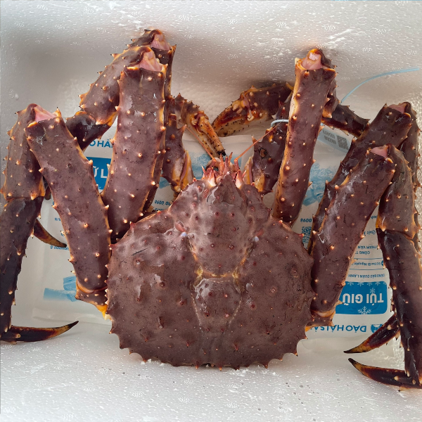 Cua Hoàng Đế - King Crab Sống