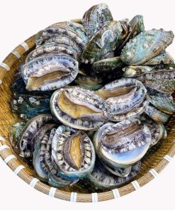 Bào Ngư Hàn Quốc Sống