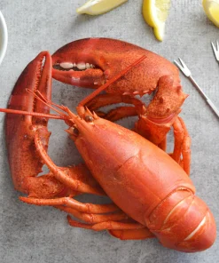 Chia sẻ Tôm Hùm Alaska/Canada Chín