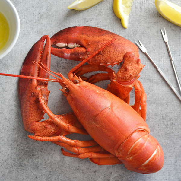 Chia sẻ Tôm Hùm Alaska/Canada Chín