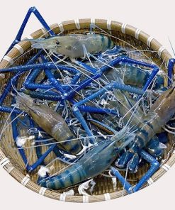 Tôm Càng Xanh Sống