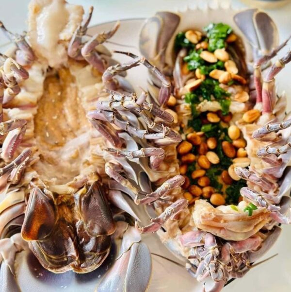 BỌ BIỂN SIZE 5-800gr