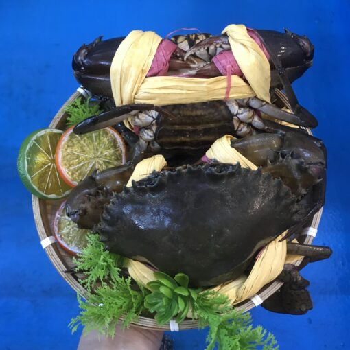 CUA GẠCH LỚN