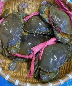 CUA THỊT NHỎ 3-400gr