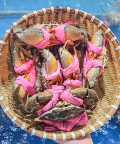 CUA GẠCH NHỎ